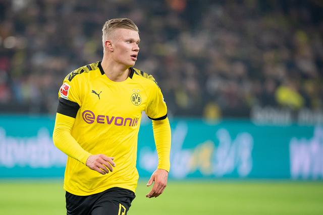 金量检验 金量检验